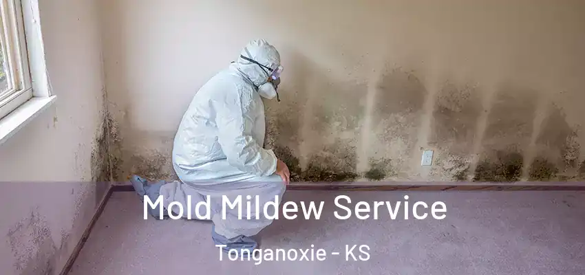  Mold Mildew Service Tonganoxie - KS