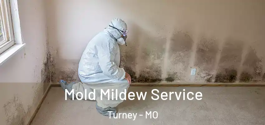  Mold Mildew Service Turney - MO