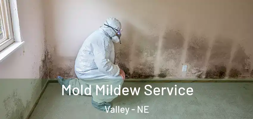  Mold Mildew Service Valley - NE