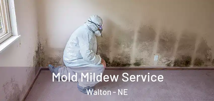 Mold Mildew Service Walton - NE