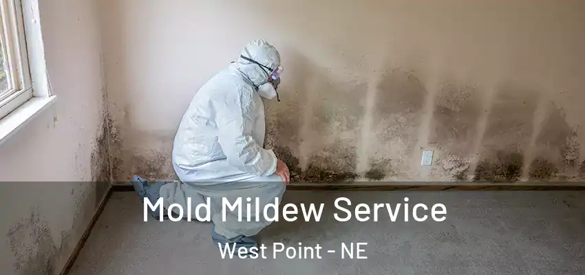  Mold Mildew Service West Point - NE