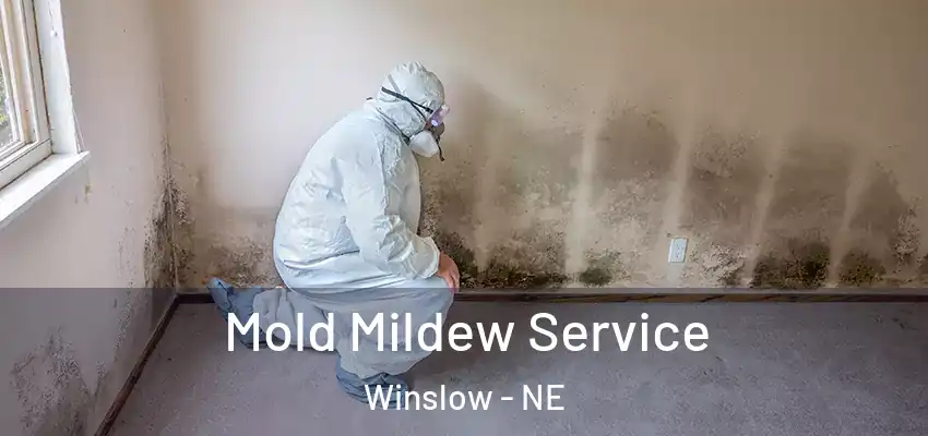  Mold Mildew Service Winslow - NE