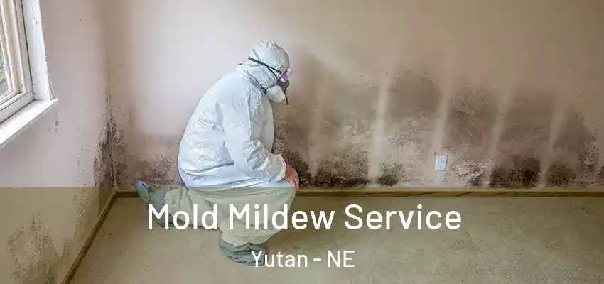  Mold Mildew Service Yutan - NE