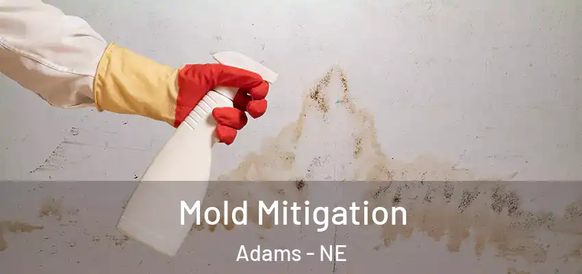 Mold Mitigation Adams - NE