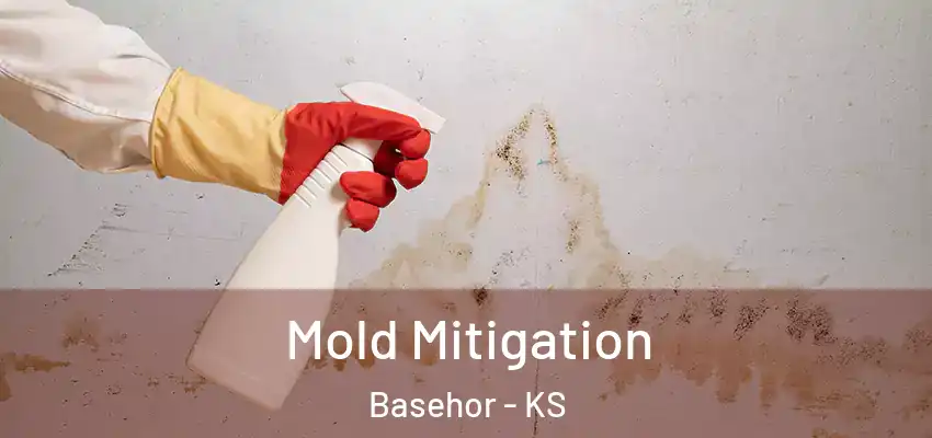  Mold Mitigation Basehor - KS