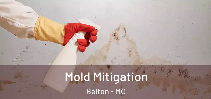  Mold Mitigation Belton - MO