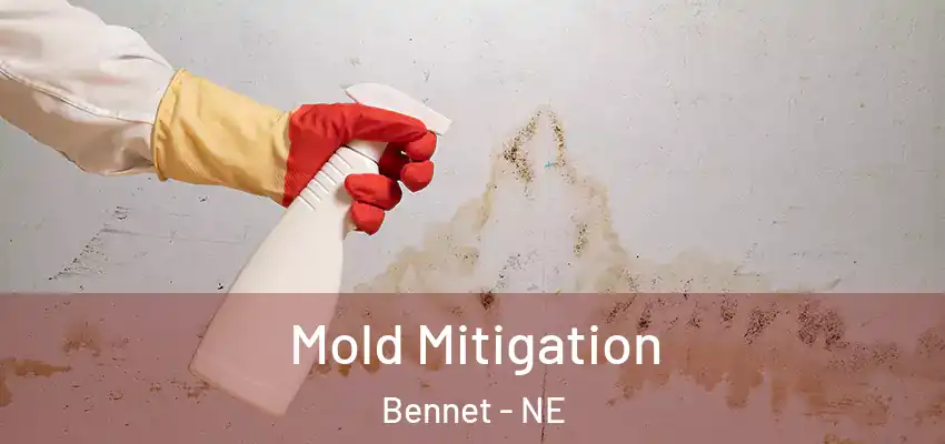  Mold Mitigation Bennet - NE