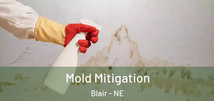  Mold Mitigation Blair - NE