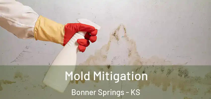  Mold Mitigation Bonner Springs - KS