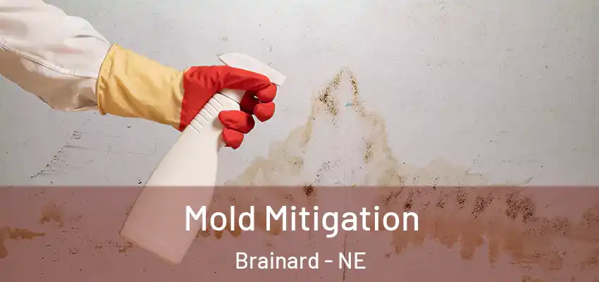  Mold Mitigation Brainard - NE
