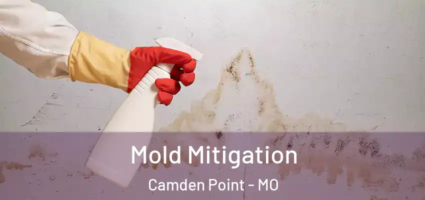  Mold Mitigation Camden Point - MO
