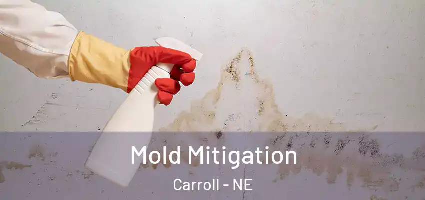  Mold Mitigation Carroll - NE