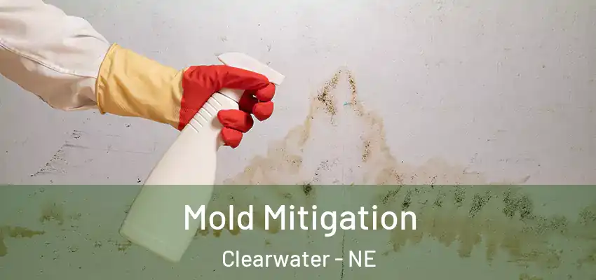  Mold Mitigation Clearwater - NE