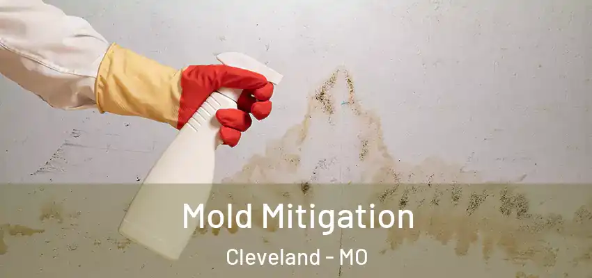  Mold Mitigation Cleveland - MO