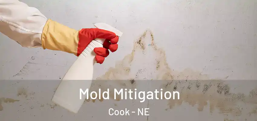  Mold Mitigation Cook - NE