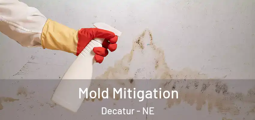  Mold Mitigation Decatur - NE