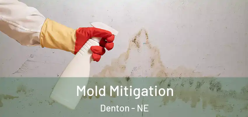  Mold Mitigation Denton - NE