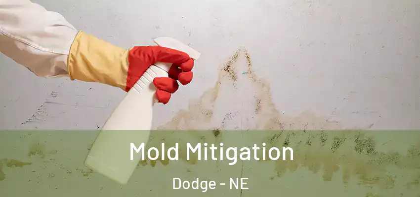  Mold Mitigation Dodge - NE