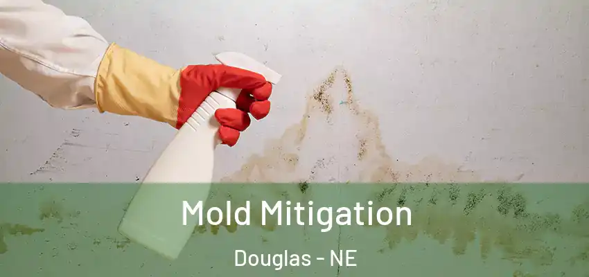  Mold Mitigation Douglas - NE