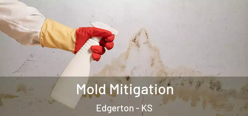 Mold Mitigation Edgerton - KS