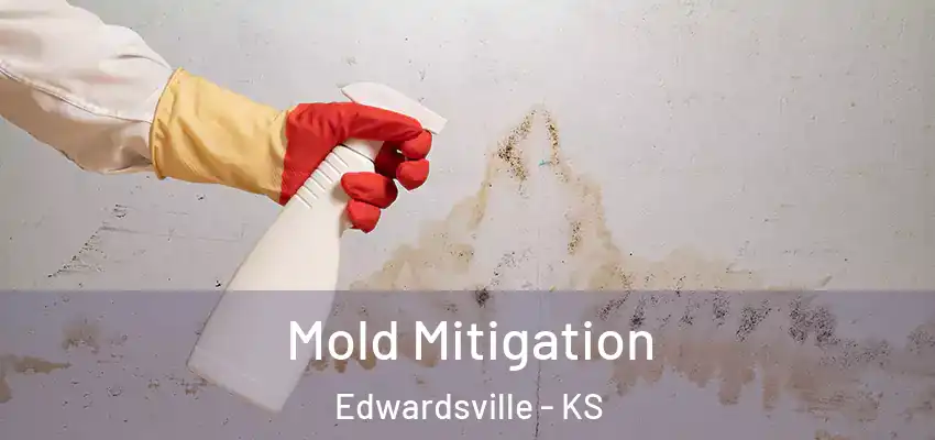  Mold Mitigation Edwardsville - KS