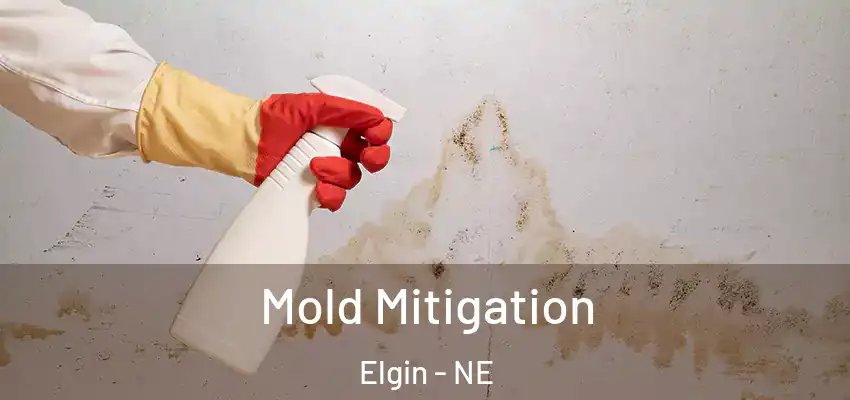  Mold Mitigation Elgin - NE