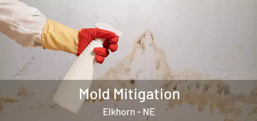 Mold Mitigation Elkhorn - NE