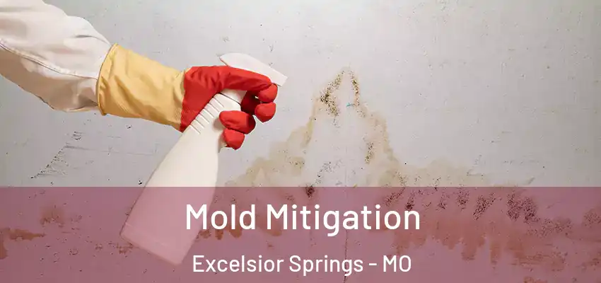 Mold Mitigation Excelsior Springs - MO