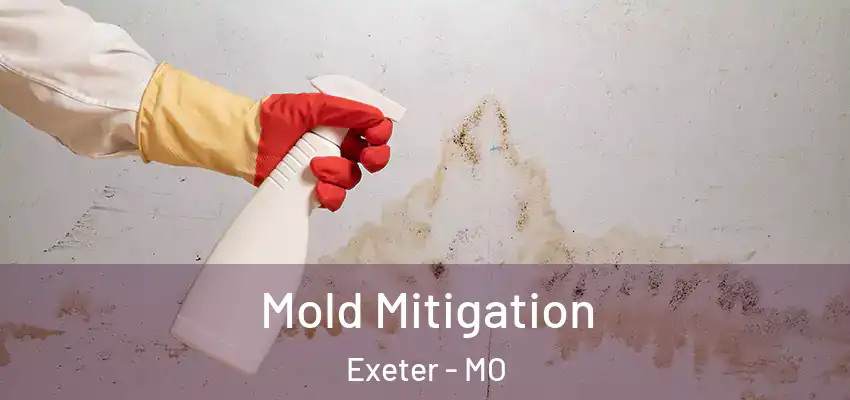Mold Mitigation Exeter - MO