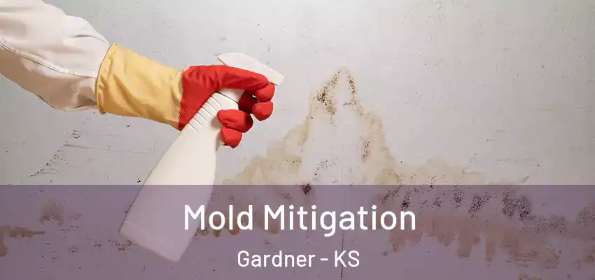  Mold Mitigation Gardner - KS