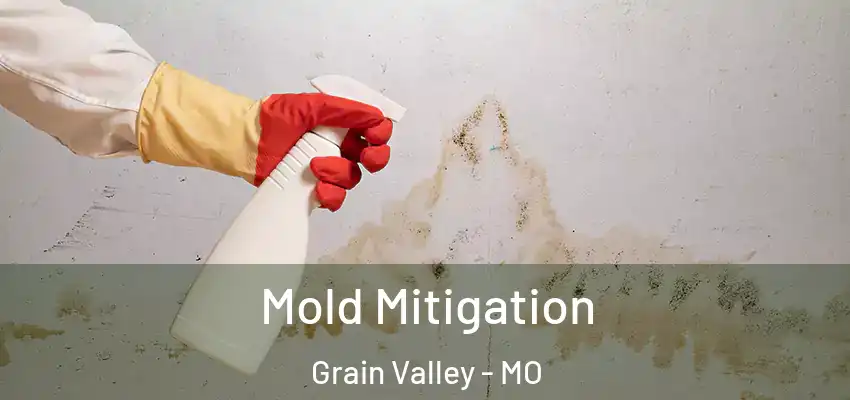  Mold Mitigation Grain Valley - MO