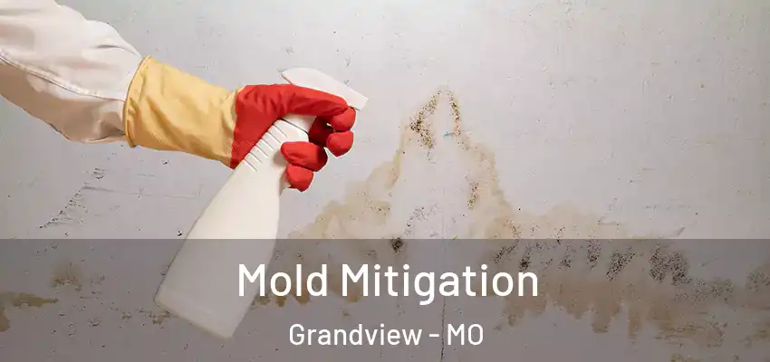  Mold Mitigation Grandview - MO