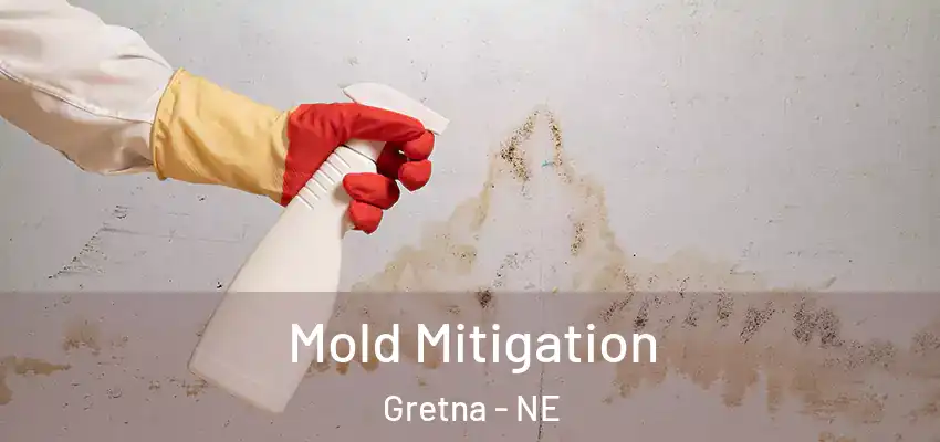 Mold Mitigation Gretna - NE