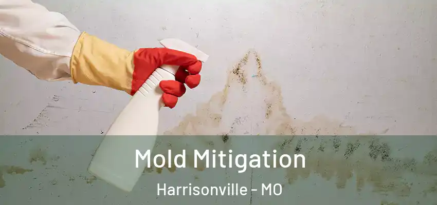  Mold Mitigation Harrisonville - MO