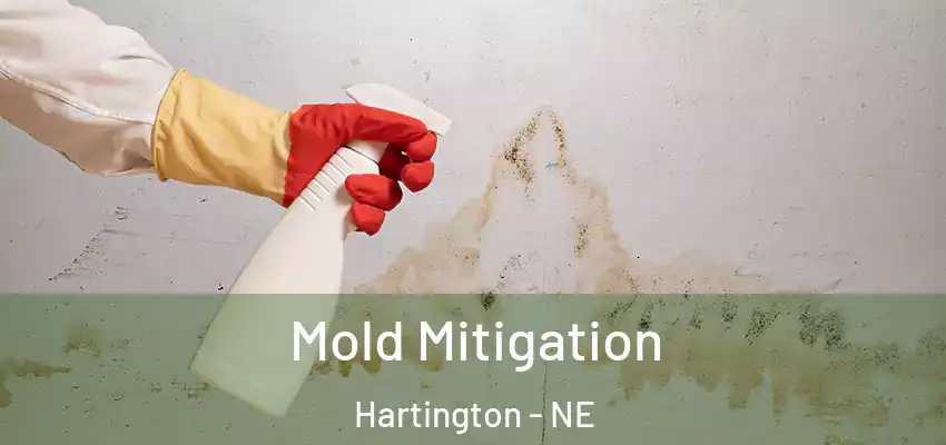 Mold Mitigation Hartington - NE