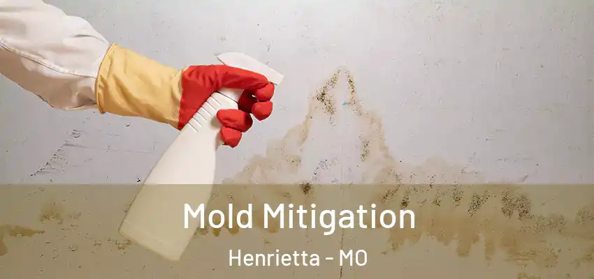  Mold Mitigation Henrietta - MO