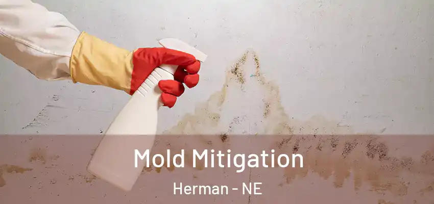  Mold Mitigation Herman - NE