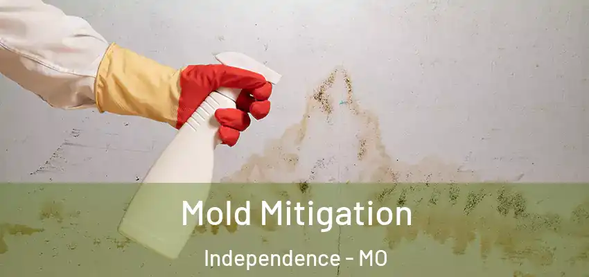  Mold Mitigation Independence - MO