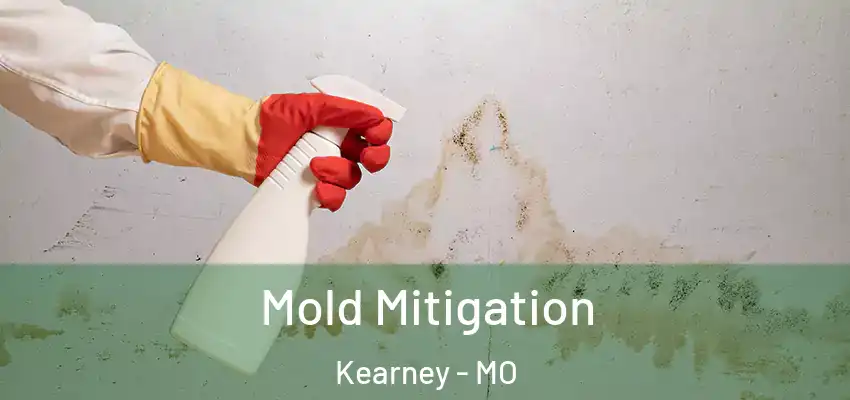  Mold Mitigation Kearney - MO
