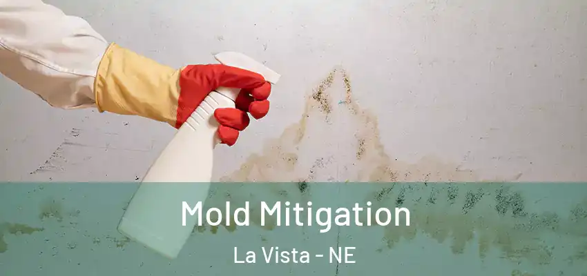  Mold Mitigation La Vista - NE