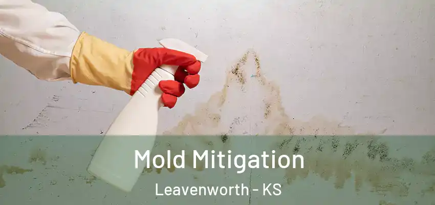 Mold Mitigation Leavenworth - KS