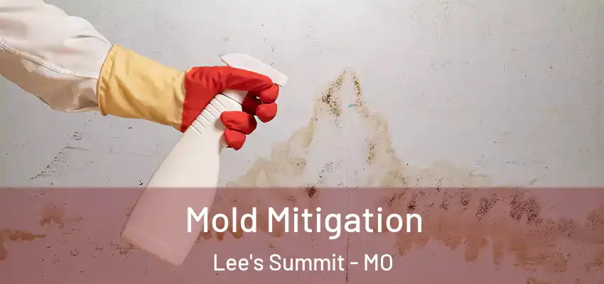  Mold Mitigation Lee's Summit - MO