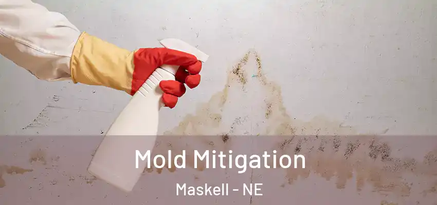  Mold Mitigation Maskell - NE