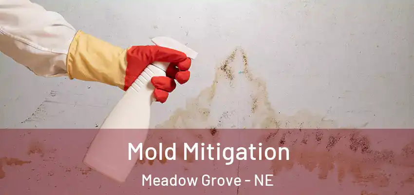 Mold Mitigation Meadow Grove - NE