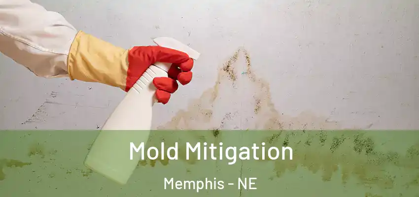  Mold Mitigation Memphis - NE
