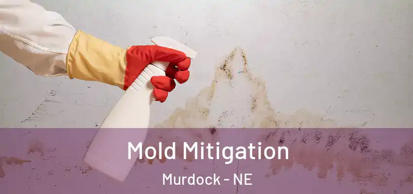  Mold Mitigation Murdock - NE