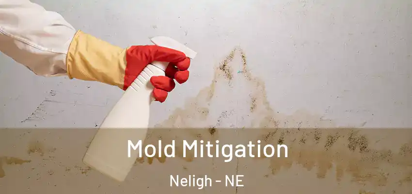 Mold Mitigation Neligh - NE