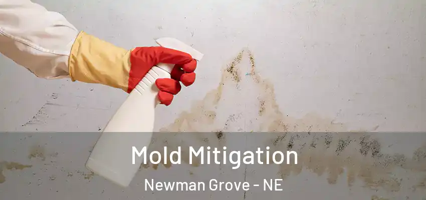 Mold Mitigation Newman Grove - NE