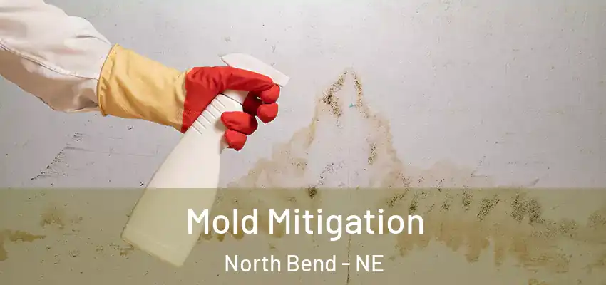 Mold Mitigation North Bend - NE