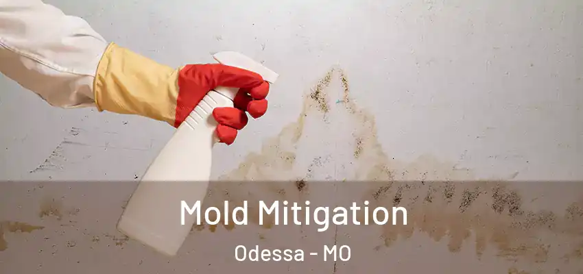  Mold Mitigation Odessa - MO